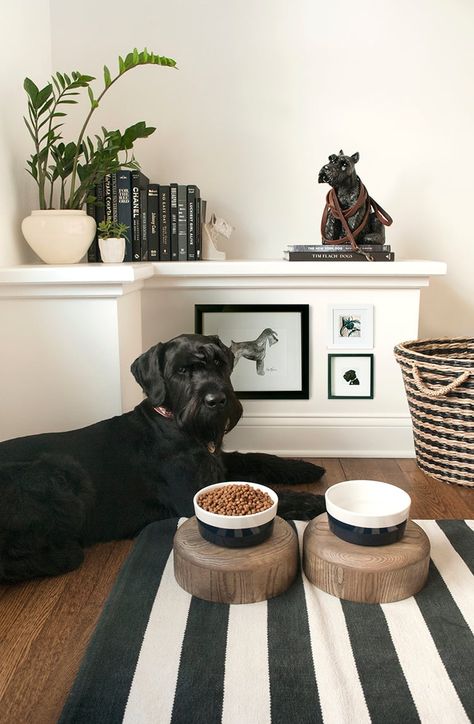 For the Dog Lovers - Room For Tuesday Dog Indoor Area, Aesthetic Dog Decor, Dog Room Design Ideas, Pet Room Aesthetic, Pet Area In Apartment, Dog Room Set Up, Dog Entryway Ideas, Puppy Home Ideas, Cozy Dog Corner