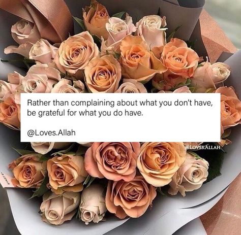 الله on Instagram: “If you’re grateful, I will give you more. [14:7]” Islamic Quotes, Quotes, On Instagram, Instagram