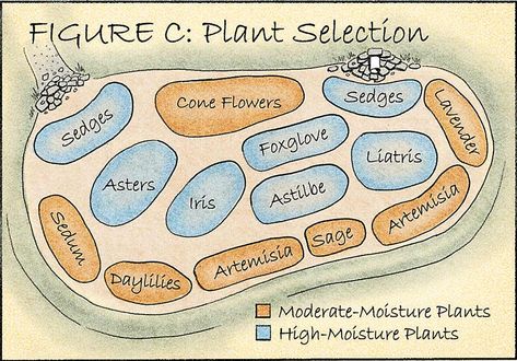 Rain Garden Design, Landscaping With Boulders, Backyard Garden Landscape, Garden Entrance, Rain Water Collection, New Roots, Rain Garden, Gardening Advice, Types Of Plants