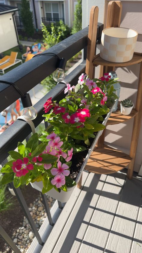 #summer #flowers #balconygarden #balconygardenideas #apartment #flowerboxarrangement Apartment Flowers Balcony, Balcony Flowers Apartment, Flowers Balcony, Patio Flowers, House Balcony, Balcony Flowers, Apartment Garden, Simple Flowers, Balcony Garden