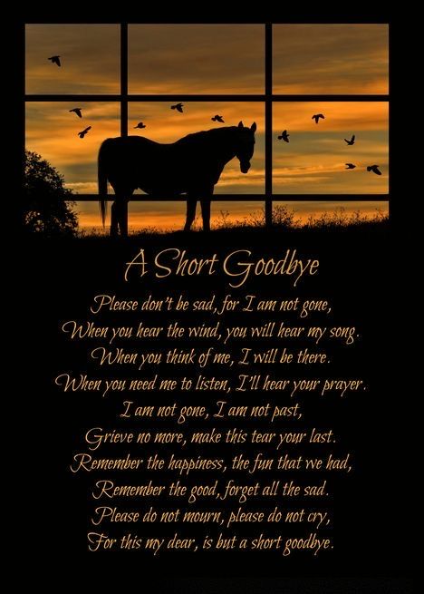 Wild Horses Quotes, Horse Memorial Ideas, Loss Of A Horse, Burning Pictures, Horse Poems, Horse Remembrance, Goodbye Poem, Memorial Crafts, Horse Spirit Animal