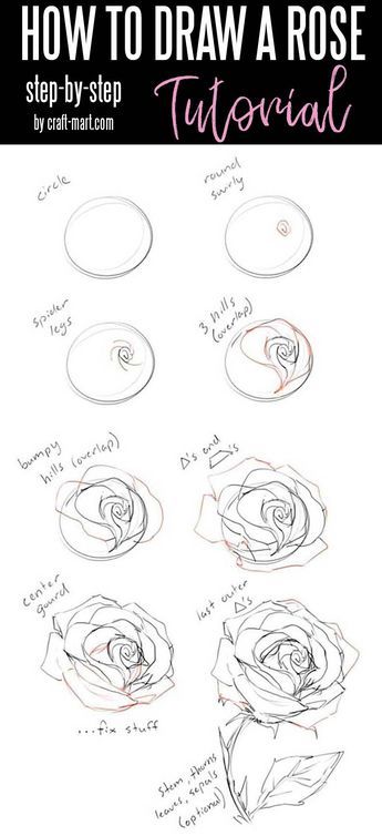 Ako Kresliť, Easy Pencil Drawings, Rose Step By Step, Draw A Rose, How To Draw Flowers, Organizator Grafic, Draw Flowers, Drawing Hands, Drawing Tutorials For Beginners