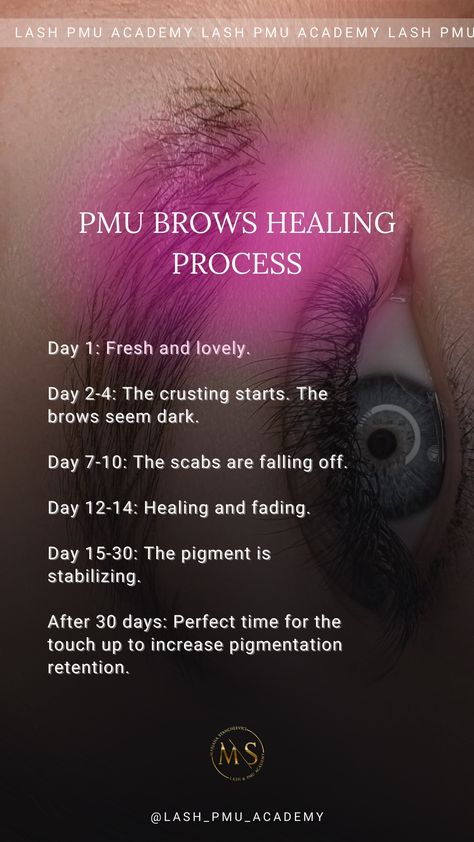 PMU Instagram Stories inspiration Editable powder brows healing eyeliner healing lips healing stories, custom made stories, SMM, template with Canva 45 unique stories for your instagram Сторис, косметология, тренды 2021, тренды 2022, тренды 2022, эстетика, оформление сторис, stories, идеи оформления, визуал, instagram story ideas, идеи сторис для инстаграм, идеи для сторис Pmu Instagram Story, Pmu Content Ideas, Brow Patterns, Pmu Marketing, Brow Salon Ideas, Brow Salon, Pmu Lips, Brow Business, Pmu Brows