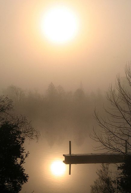 Misty Morning - Cooper River Art Sacre, Misty Morning, Helen Keller, Beautiful Picture, Foto Inspiration, Pics Art, Charleston Sc, Beautiful Photography, Belle Photo