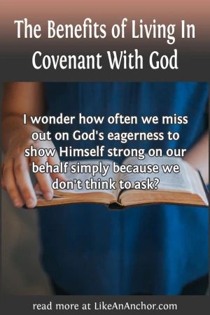 The Benefits of Living In Covenant With God – Like An Anchor Covenants In The Bible, Covenant With God, Sermon Ideas, Bible Pics, Bible Charts, Twenty Twenty, Overcome The World, In Christ Alone, Night Prayer