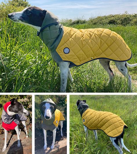 Whippet Coat Pattern Free, Greyhound Coat Pattern, Greyhounds Clothes, Large Dog Coats, Large Dog Sweaters, Dog Coat Pattern, Dog Trends, Pet Coats, Knit Dog Sweater