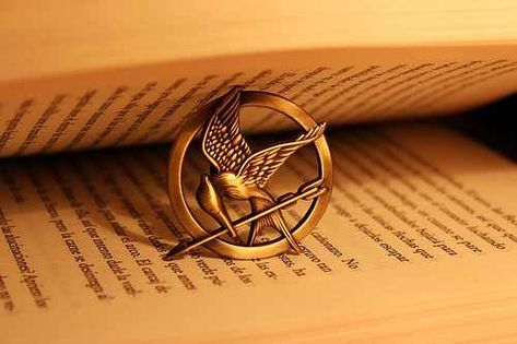 (116) Friss kihívások · Moly Real Or Not Real, Hunger Games Pin, Crimping Iron, Creative Writing Classes, Finnick Odair, School Creative, Katniss And Peeta, Hunger Games 3, Hunger Games Catching Fire