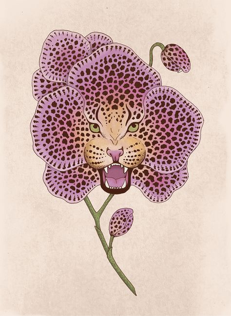 Wild Orchid on Behance Orchid Aesthetic, Orchid Poster, Orchid Illustration, Orchid Art, American Traditional Tattoo Ideas, Traditional Tattoo Ideas, Orchid Print, Pretty Aesthetic, Aesthetic Picture