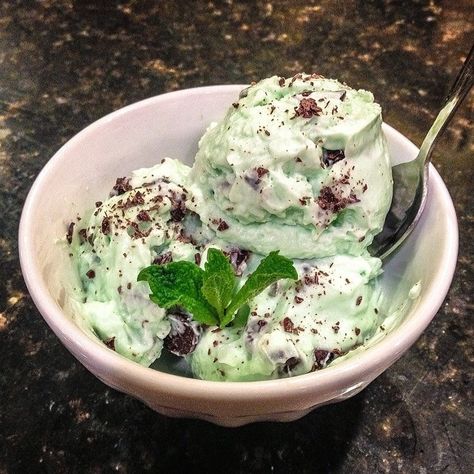 Protein Frozen Yogurt, Mint Chocolate Chip Ice Cream Recipe, Healthy Frozen Yogurt, Ripped Recipes, Frozen Greek Yogurt, Frozen Yogurt Recipes, Chocolate Yogurt, Yogurt Ice Cream, Mint Chocolate Chip Ice Cream