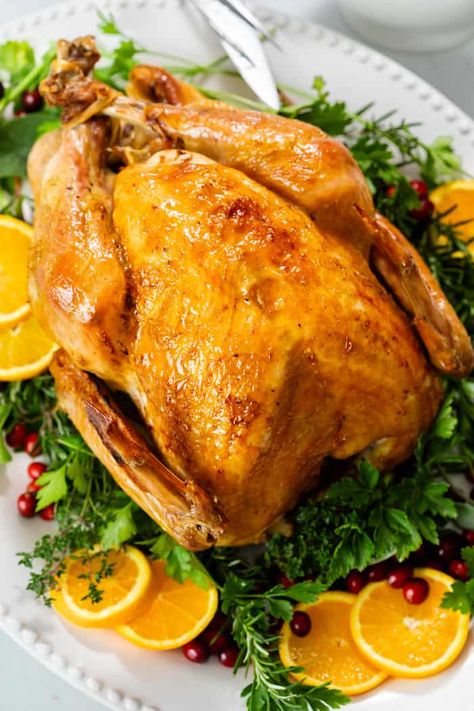 Learn how to dry brine turkey in this easy recipe that can be used for whole turkey, turkey breast, or chicken! Dry brining is the best way for extra crispy skin, even browning, and juicy meat with tons of flavor! #thanksgivingrecipe #roastturkey #turkeybrine #christmasrecipe Spiced Nice, Best Roasted Turkey, Turkey Gravy Easy, Turkey Meals, The Cozy Cook, Turkey Seasoning, Turkey Dinners, Cozy Cook, Thanksgiving Foods