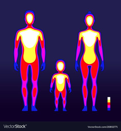 Body Male, Human Body Temperature, Body Outline, Camera Art, Female Body, Graphic Editing, Beauty Logo, Hindu Art, Male And Female