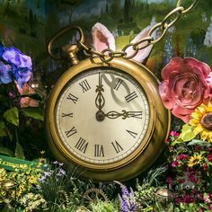 Alice In Wonderland Phone Theme, Alice In Wonderland Widget, Basement Library, Alice Core, Alice In Wonderland Clocks, Wonderland Fanart, Wonderland Aesthetic, Golden Afternoon, Alice In Wonderland Vintage