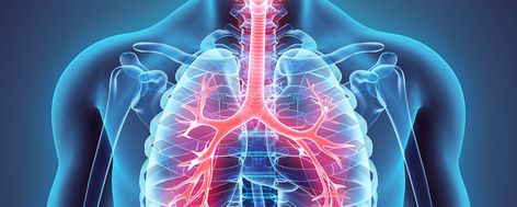 Respiratory disorders and diseases affect your breathing and may be a reason for serious discomfort and pain. It is important to diagnose these quickly to identify whether it is an acute or chronic condition. When physicians are aware of this information,… Pulmonary Function Test, Home Remedies For Bronchitis, Lung Cleanse, Chronic Cough, Healthy Lungs, Pulmonology, Respiratory Care, Chronic Obstructive Pulmonary Disease, Pulmonary Disease