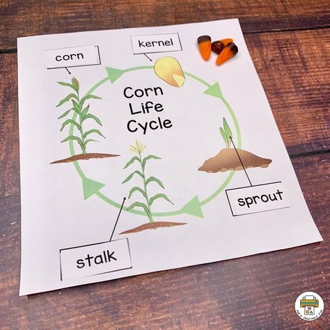 Scarecrows Preschool, Corn Preschool, Preschool Scarecrow, Preschool Journal Prompts, Corn Activity, Corn Activities, Corn Theme, November Lesson Plans, October Preschool