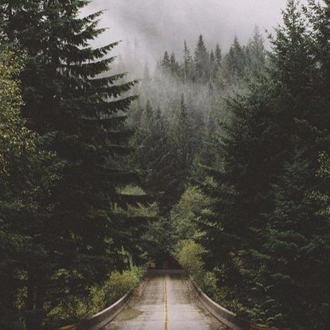 asleep | lofi by hedonist on SoundCloud Karakorum Highway, Forks Washington, Foggy Forest, Trail Mix, Alam Yang Indah, Nature Aesthetic, Pretty Places, Aesthetic Photography, Beautiful World