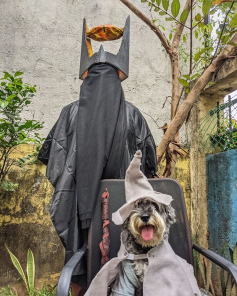 Human as eye of Sauron, dog as Gandalf the Grey Dog Lord Of The Rings Costume, Eye Of Sauron Costume, Sauron Costume, Sauron Eye, Pair Costumes, Eye Of Sauron, Book Character Costumes, Gandalf The Grey, Halloween Time