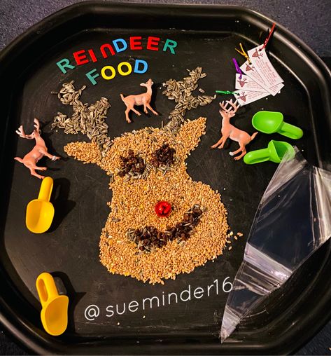 Reindeer Food, Tuff Tray, Sensory Play, Halloween Wreath, Reindeer, Sunflower, Tray, Christmas