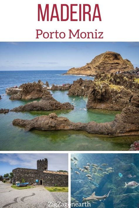 Portugal Destinations, Lisbon Oceanarium, Porto Moniz, Madeira Beach Florida, Things To Do In Porto, Funchal Madeira, Natural Swimming Pools, Natural Heritage, Funchal