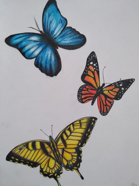 Butterflies drawing with colored pencils Cute Colored Pencil Drawings Easy, Butterfly Coloured Pencil Drawing, Color Pencil Art Butterfly, Colored Pencil Easy Drawing, Colored Pencil Butterfly, Colored Pencil Flower Drawing, Colored Pencil Drawings Easy, Colourful Butterfly Drawing, Butterfly Drawing Colorful