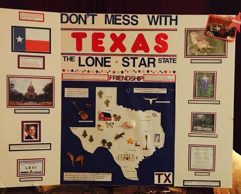 Texas State Project State Presentation Board Ideas, State Poster Board Project, State Project Poster Board, Country Poster Board Ideas, Texas History Classroom Decorations, Texas History Projects, Trifold Ideas, State Report Projects, History Fair Projects