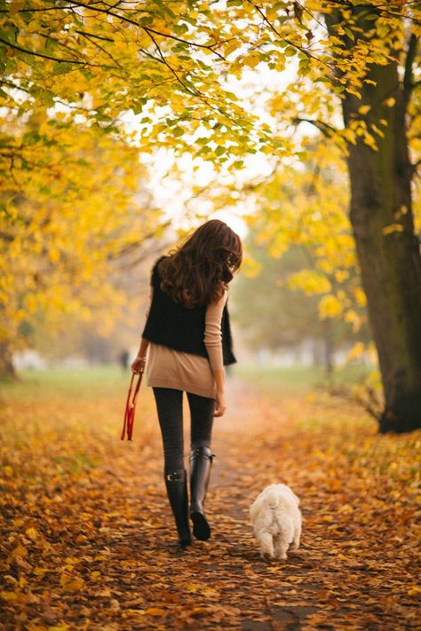 Dog Owner Photoshoot, Family Dog Photos, Dog Photoshoot Pet Photography, Dog Portrait Photography, Photos With Dog, Dog Photoshoot, Emily Bronte, Fall Dog, Fall Photoshoot