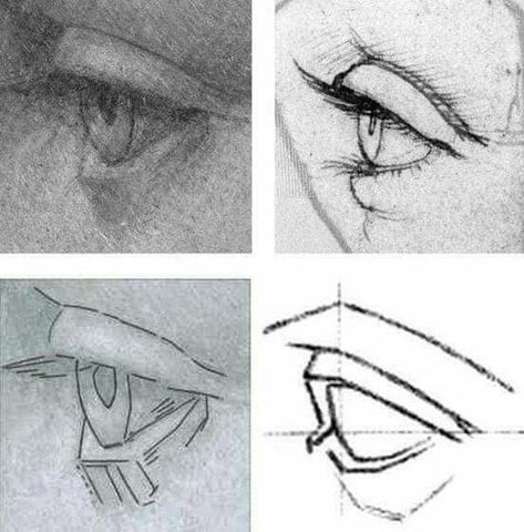 Eye Study Reference, Holding Face Reference, Sketch Eyes, Windows To The Soul, 얼굴 드로잉, Draw Eyes, Human Anatomy Drawing, 얼굴 그리기, Art Basics