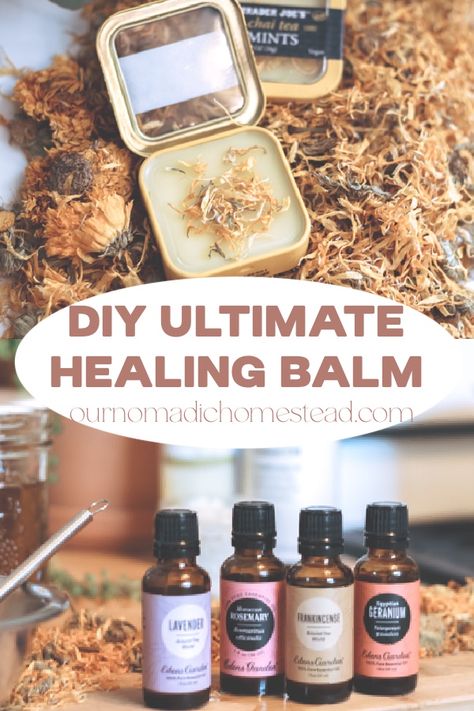 DIY Ultimate Healing Balm - Our Nomadic Homestead Diy Healing Balm, Natural Wound Care, Antibiotic Ointment, Herb Shop, Emu Oil, Healing Balm, Mint Tins, Infused Olive Oil, Magic Recipe