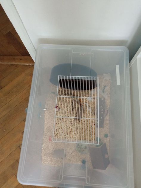 Hamster Cage Ideas Diy Bin, Hamster Bin Cage Ideas, Kandang Hamster, Bin Cage, Hamster Bin Cage, Hamster Diy Cage, Mouse Cage, Hamster Diy, Kawaii Logo