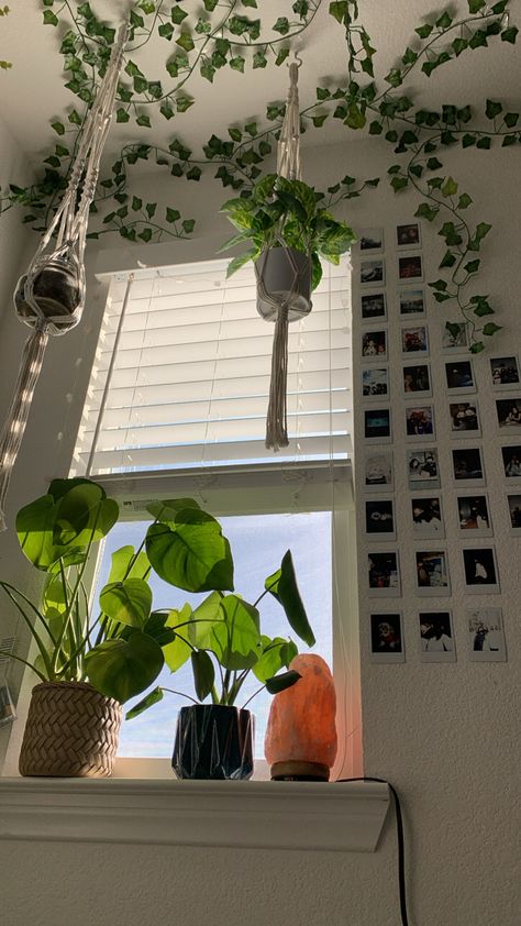 Room Decor Bedroom Nature, Plant Shelf Aesthetic, Room Ideas Greenery, Green Room With Plants, Plants In Room, Rooms With Plants, Plant Aesthetic Room, Room Asthetics, Plant Bedroom Aesthetic