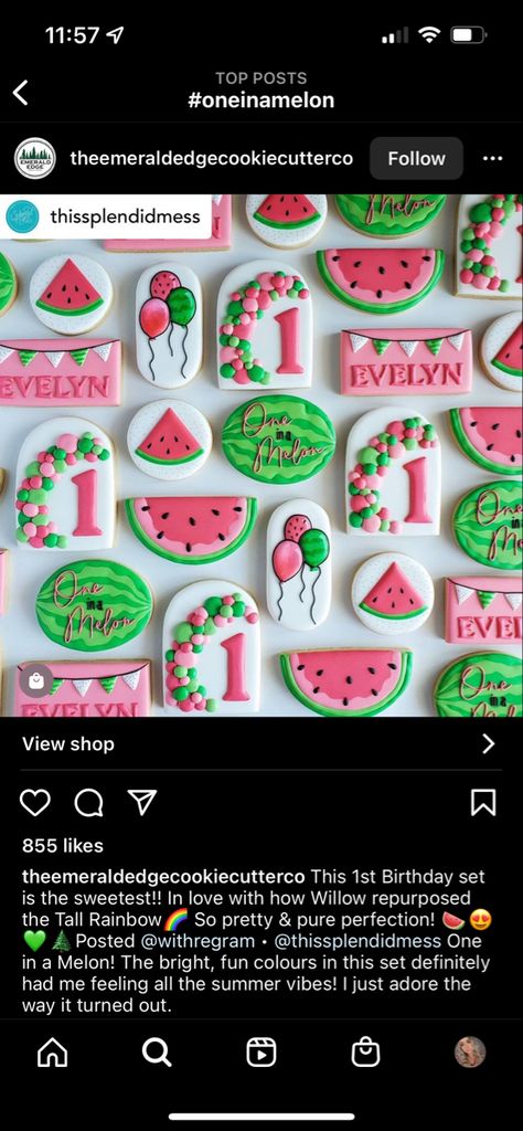 One In A Melon Cookies, One In A Melon Birthday, One In A Melon, Birthday Cookies, Cookie Decorating, Melon, First Birthdays, 1st Birthday, Brooklyn