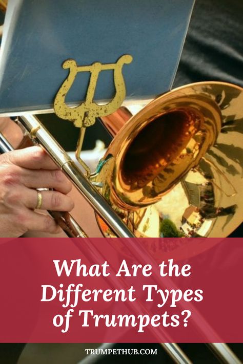 Let's look at different trumpet types of trumpet. What's a piccolo trumpet, a cornet, a bugle and a pocket trumpet? Find out here! Trumpet Tips, Trumpet Notes And Fingerings, Songs On Trumpet, Angel's Trumpet, Piccolo Trumpet, Pocket Trumpet, Trumpet Memes Funny, Trumpet Players, Brass Instrument