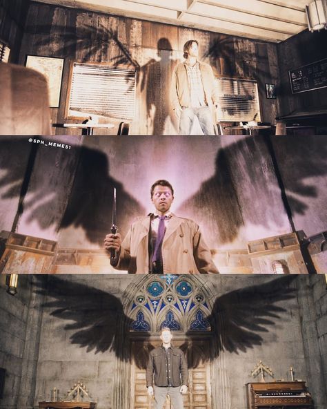 Castiel Wings, Supernatural Background, Castiel Angel, Castiel Supernatural, Supernatural Wallpaper, Winchester Supernatural, Winchester Boys, Jared And Jensen, Supernatural Memes