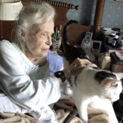 Old Cat Lady, Cat Rescue Stories, Senior Cat, Cat Stories, A Match Made In Heaven, Old Cats, Match Made In Heaven, Old Lady, Old Woman