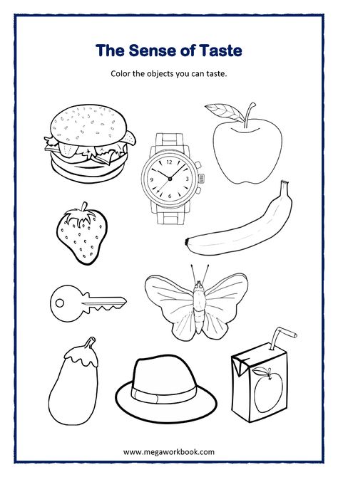 Five Senses Worksheets For Preschool And Kindergarten - MegaWorkbook 5 Senses Coloring Page, My 5 Senses Worksheet, Senses Coloring Page, Sense Of Taste Worksheet, Sense Organs Worksheets For Grade 1, Kindergarten Science Worksheets 5 Senses, 5 Senses Worksheet, Sense Organs, Five Senses Worksheet