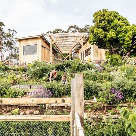 Steep Backyard, Edible Forest, Hillside Farms, Steep Gardens, How To Landscape, Permaculture Garden, Nut Trees, Terraced Landscaping, Landscaping On A Hill