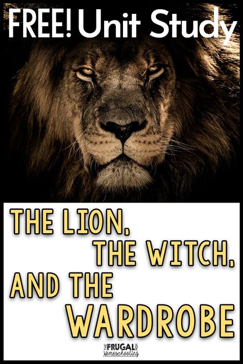 The Lion The Witch And The Wardrobe Unit Study, The Lion The Witch And The Wardrobe Book Study, The Lion Witch And The Wardrobe, The Lion The Witch And The Wardrobe Novel Study, The Lion The Witch And The Wardrobe Activities Free Printables, Lion Witch And Wardrobe Activities, The Lion The Witch And The Wardrobe Unit, The Lion The Witch And The Wardrobe Activities, Lion The Witch And The Wardrobe