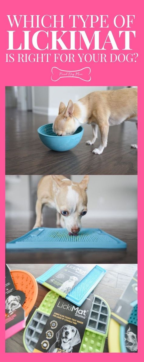 Slow Feeder Dog Diy, Dog Slow Feeder, Slow Feeder Dog, Dog Diy, Dog Enrichment, Puppy Treats, Puppy Stuff, Slow Feeder, Healthy Dog Treat Recipes