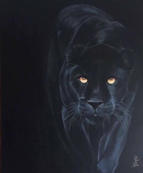 Animal Extinction, Animal Spirit Guides, Africa Animals, Tiger Painting, Black Jaguar, Animal Spirit, Black Panthers, Wildlife Paintings, Mexican Artists