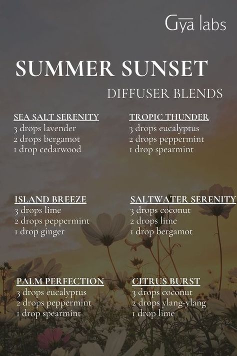 Summer Doterra Diffuser Blends, Summer Solstice Diffuser Blend, Summer Night Diffuser Blend, Summer Solstice Essential Oil Blend, Late Summer Diffuser Blends, Summer Oil Diffuser Blends, August Diffuser Blends, Evening Diffuser Blends, July Diffuser Blends