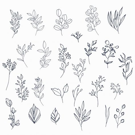 handdrawn leaves,hand,ornament,leaf,nature,hand drawn,spring,leaves,sketch,plant,decoration,natural,elements,decorative,ornamental,blossom,beautiful,drawn,pack,collection,petals,set,bloom,vegetation,blooming,colorless,botany,blackandwhite,doodle,branches,branch,elegant,ink Leaves And Branches Drawing, Nature Elements Drawing, Leaf Branch Drawing, Elegant Doodles, Leave Sketch, Quilting Journal, Leavers Shirt, Sketch Nature, Penpal Letters