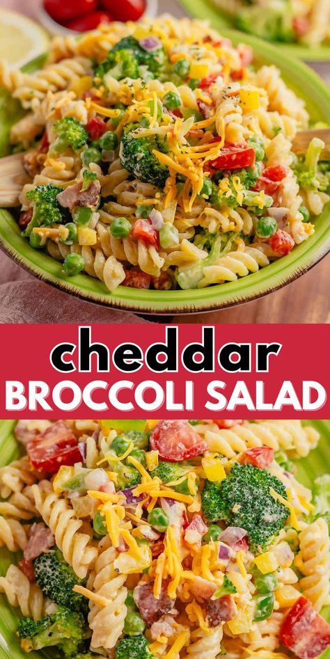 Try this cheddar broccoli pasta salad for a creamy, cheesy, and veggie-packed dish that's perfect for potlucks or picnics! #pastasalad #cheddarbroccoli #easyrecipes #potluckrecipes #veggies Broccoli Cheddar Pasta Salad, Cheddar Broccoli Pasta, Cheddar Pasta Salad, Broccoli Cheddar Pasta, Pasta Salad With Bacon, Cheddar Pasta, Broccoli Pasta Salad, Pasta Salad For Kids, Broccoli Pasta Salads