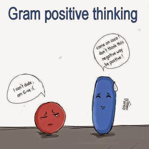 Gram Positive Thinking Microbiology Humor, Medical Lab Technician, Lab Humor, Science Cartoons, Biology Humor, Medical Memes, Gratitude Board, Filo Memes, Study Biology