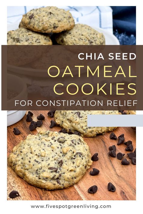 Oatmeal Cookies for Constipation Relief Toddler Constipation Relief Foods, Constipation Relief Foods, Constipation Food, Healthy Fiber, Unhealthy Snacks, Constipation Relief, Cookies For Kids, Fiber Foods, Oats Recipes