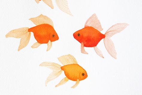 Goldfish Watercolor, Giant Strawberry, Goldfish Art, Watercolor Pencil Art, Art Crochet, Crochet Sewing, Watercolor Fish, Watercolor Projects, Watercolor Art Lessons