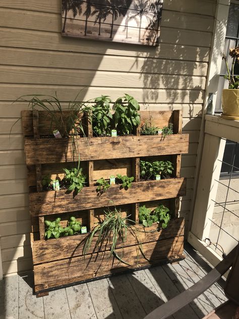 Pallet Projects Outdoor Furniture, Pallet Planter Wall, Pallet Herb Planter, Herb Pallet, Pallet Projects Outdoor, Trailer Garden, Furniture From Pallets, Pallet Herb Garden, Pallet Garden Walls