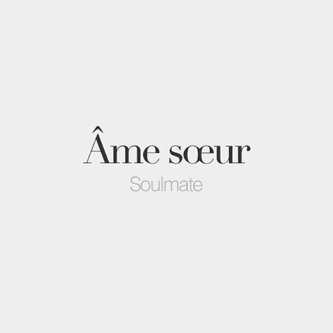 Soulmate In French, Soulmate In Different Languages, Francais Aesthetic, Cute French Words, French Words With Meaning, French Love Quotes, French Words Quotes, Useful French Phrases, Basic French Words