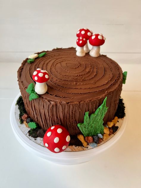 Shroom Cake, Mushroom Cakes, Zoe Cake, Surfer Cake, Toadstool Cake, Mushroom Party, Poppy Birthday, Mushroom Cake, Woodland Fairy Party