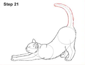 Draw a Tabby Cat Stretching 21 Cat Stretching Drawing, Stretching Drawing, Draw A Cat, Back Drawing, Drawing Instructions, Cat Drawing Tutorial, Elephant Coloring Page, How To Cat, Cat Stretching