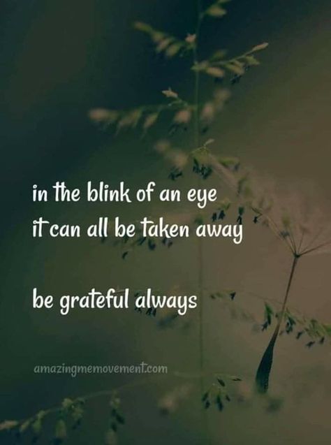 In the blink of an eye it can all be taken away. Be grateful always. Motivation Funny, Funny Life, Gratitude Quotes, Best Inspirational Quotes, Be Grateful, I Am Grateful, Life Motivation, Wise Quotes, True Words