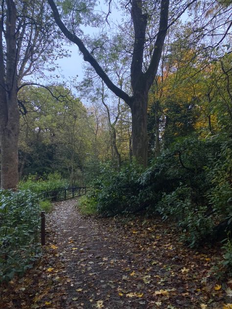 dark forest walk path aesthetic autumn Path Aesthetic, Forest Pathway, Forest Walk, Autumn Walk, Forest Aesthetic, Aesthetic Autumn, Light And Space, Dark Forest, Country Roads